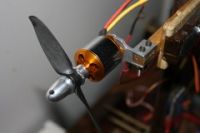 Suppo - Cheetah A2217-4